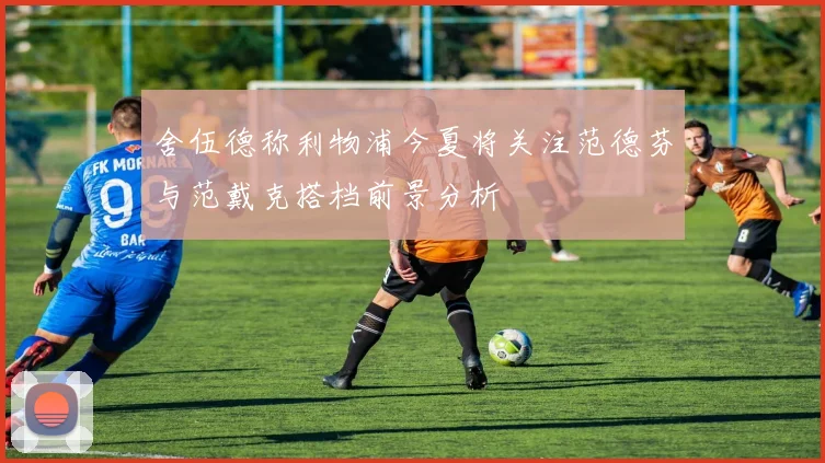 舍伍德称利物浦今夏将关注范德芬与范戴克搭档前景分析