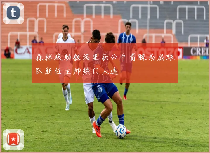 森林狼助教诺里获公牛青睐或成球队新任主帅热门人选
